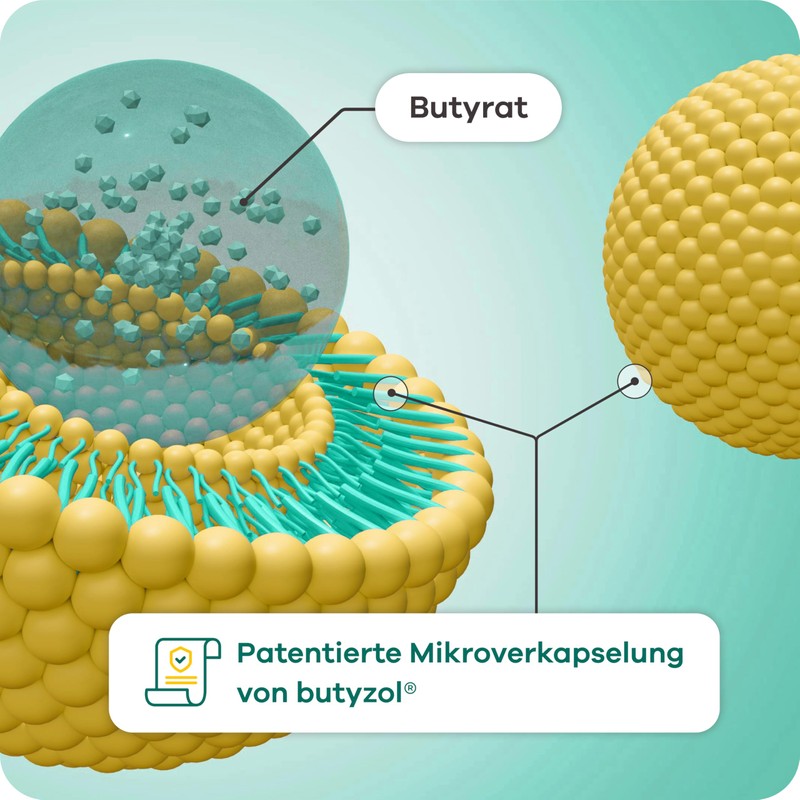 Butyzole - Diet Management for Irritable Bowel Dietra, Diverticula &