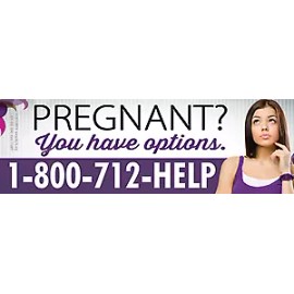 Pregnant? You Have Options Pro-Life Bumper Sticker