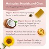Moroccan Magic Organic Pure Coconut Lip Balm 3 Pack |