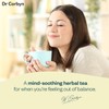 Dr Corbyn St. John's Wort Loose Tea 250g | Hypericum
