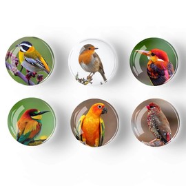 12Pcs Glass Refrigerator Magnets - Fridge Magnets Decoration for Classroom, Locker, Office Whiteboards, Cabinet, Dishwasher and Magnetic Surfaces (Bird Lifelike)