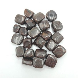GEMSCITE Garnet 1/2 LB Tumbled Stones and Crystals Bulk Natural Crystal Kit for Reiki Healing Crystal Polished, Tumble Stones, Chakra Balancing, Good Luck, Reiki Gift, Home Décor