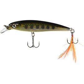 Rapala XR10 Currican X-Rap, MD