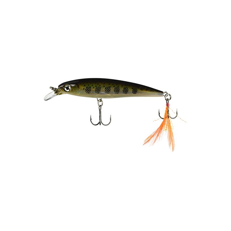 Rapala XR10 Currican X-Rap, MD