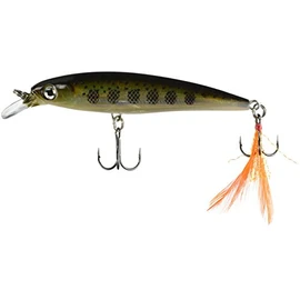 Rapala XR10 Currican X-Rap, MD
