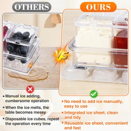 2 Pcs Ice Chilled Condiment Containers Caddy with Lids - Condiment Organizer with Reusable Ice Sheets, Chilled Serving Trays for Fruit Salad Taco Mimosa Bar Party Supplies