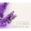 Lavender 40-42 – 1/3 fl oz (10 ml) Glass Bottle
