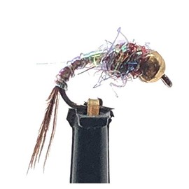 Feeder Creek Fly Fishing Trout Flies Tungsten Rainbow Warrior Midge - One Dozen Wet Flies - 3 Size Assortment 16,18, 20 (4 of Each Size)