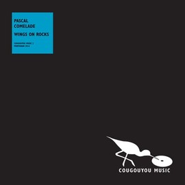 Wings on Rocks [7" VINYL]