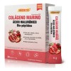 Windboss Colágeno Marino Con Ácido Hialurónico 30 Sobres