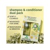 Duo shampoo acondicionador Chamomile Herbal Essences 400ml