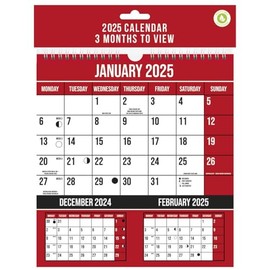 Shineone 2025 Calendar Three Months to View Spiral Bound Wall Planner Red and Black Calendar - for Home Business Office School 1 January 2025 to 31 December 2025
