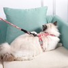iNszkoos Cat Harness and Lead Set to Outdoor Walking, H-shaped