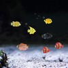 Boao 48 Pcs Plastic Fish Toys Small Tropical Fish Figure