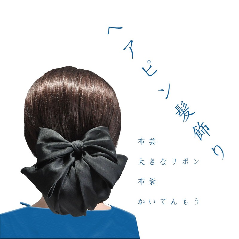 BRIIKPP Black Chignon Net Barrette (Net Included), Bun Net, Hair