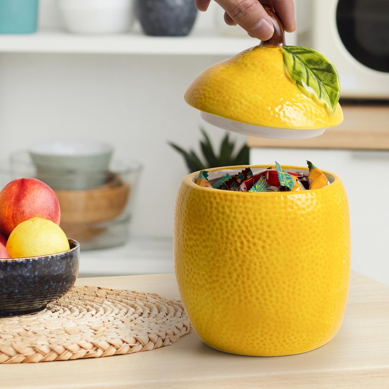 WK WENKRYGDN Lemon Kitchen Canisters Set of 2 Decorative Ceramic