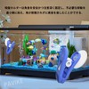PAVIKE Aquarium Suction Cup Clip [Random Color] Algae Clip Holder