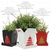 3D Printed Planter Chinese Takeout Box - Set of 3
