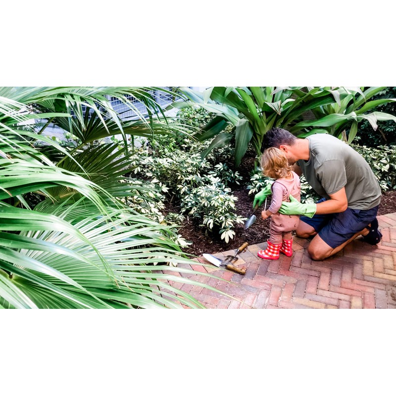 If You Care Fsc Certified Latex Medium Gloves, 1 Count