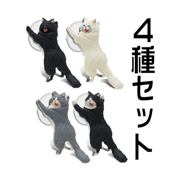 "Here Is My The kuitomeru. You're going to the tip