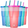 Meoky Plastic Cups with Lids and Straws - 6 Pack