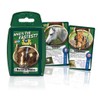 Horses & Ponies Top Trumps Card Game