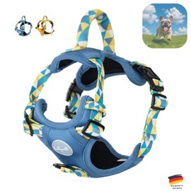 bullywelt Dog Harness Anti-Pull Harness for French Bulldog, Frenchie, French Bulldog, Pug, English Bulldog (Blue, S)