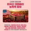 Orodam Granberry Cranberry High-content Cranberry Anthocyanins Cranberry Plus 90 tablets,