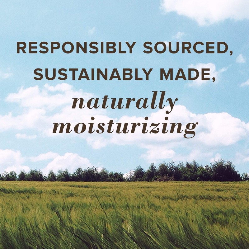 Burt's Bees 100% Natural Moisturizing Lip Balm, Cucumber Mint -