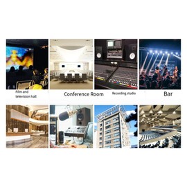 Snblzhef -2RX Audio Isolator Lotus Interface XLR Noise Reduction for Recording Studios Conference Rooms Movie Theaters Etc HiFi Sound Quality