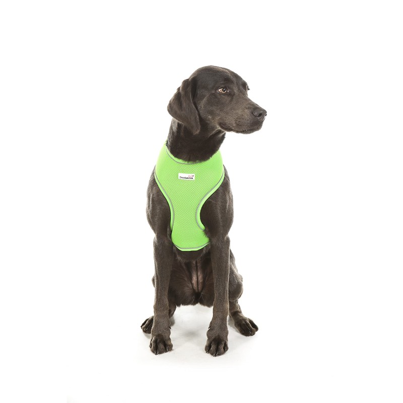 Doodlebone Originals Pattern Airmesh Dog Harness (Beyond The Blue, 4)