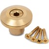 Swimcare Brass Anchor with Collar and 4 Screws for Pool