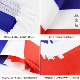France String Flag Pennant Banner - 38 Flags, 42 Feet Small Mini French Flags Bunting Banner for Country Decoration, School, Party, Sports Events