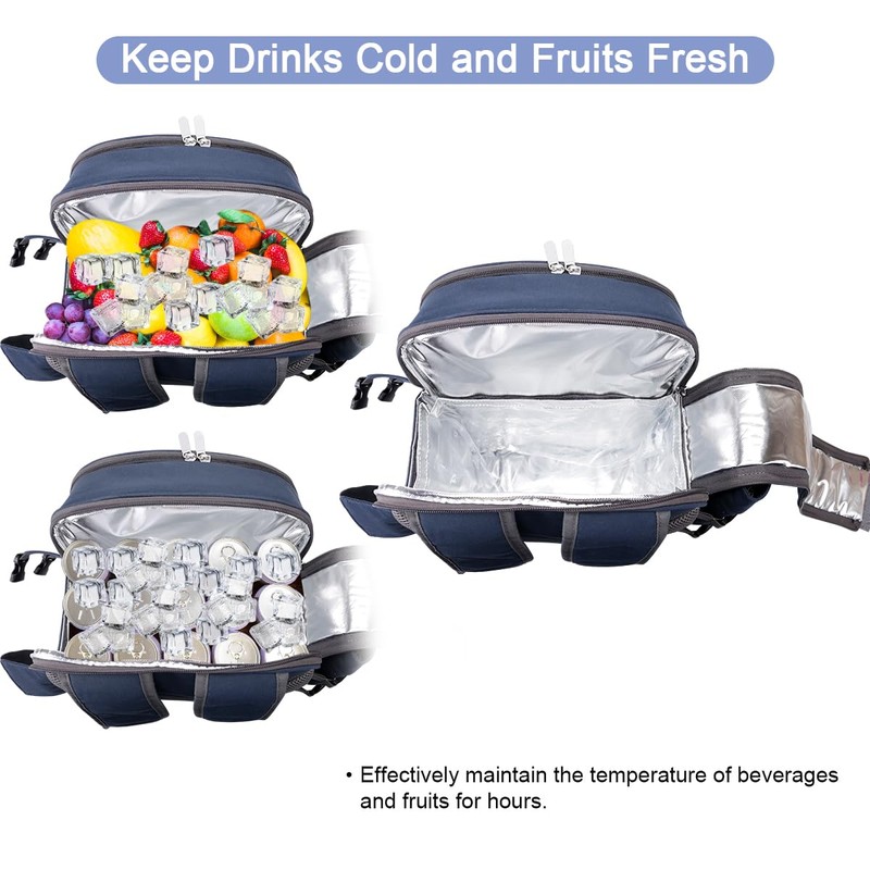 Sunflora Picnic Backpack for 4 Person Set Pack with Insulated