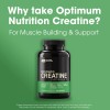 Optimum Nutrition Creatine 2500, 2.5g Monohydrate Muscle Strength, 100 Capsules