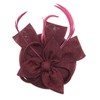 Biruil Fascinators Hat for Women Girls Sinamay Flower Feathers Tea