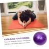 BESPORTBLE Professional Core Massage Ball Textured Exercise Ball for Pregnancy
