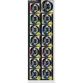 Motoinkz B-79 Custom Motorcycle Rim Sticker 17" Full, neon-green