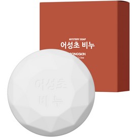 Gongskin Houttuynia cordata soap / 공스킨 어성초 비누