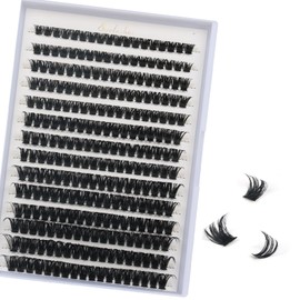 FANDIQ Cluster Lashes D Curl Individual Eyelashes Natural Lash Clusters Fluffy Lashes 252PCS Individual Lashes 8-16mm Mix Individual Lashes Extensions (80D 8-16mm)