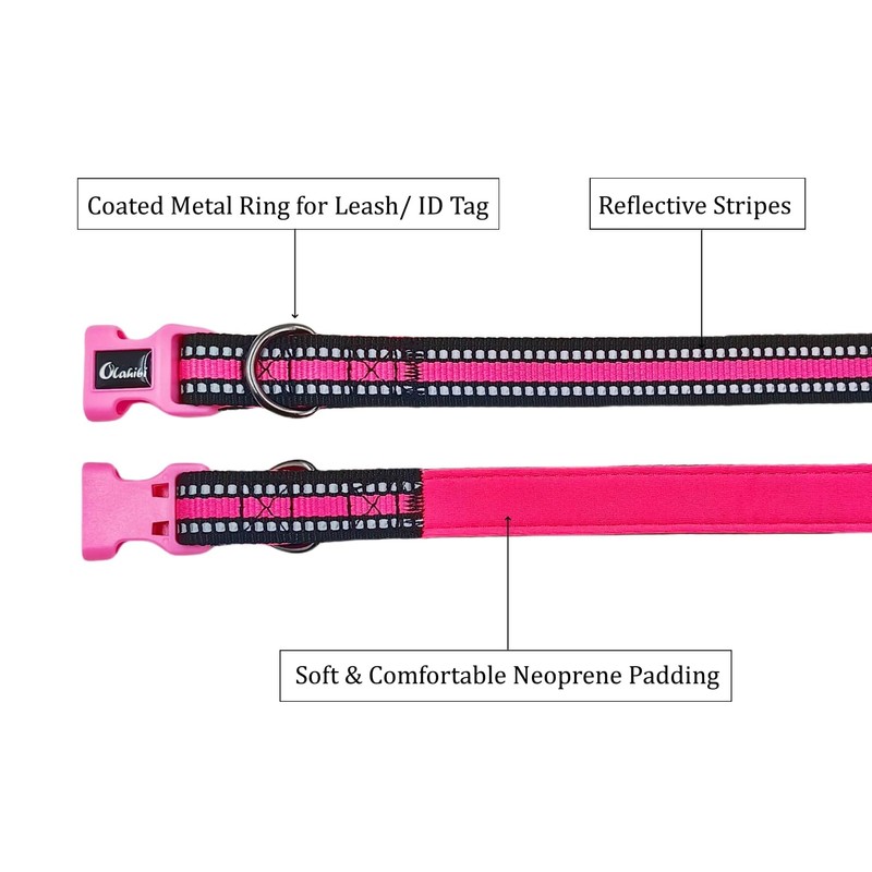 Olahibi Dog Collar and Leash Combo Set, Neoprene Padded, Polyester