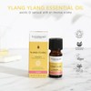 Tisserand Aromatherapy Tisserand - Organic Pure Essential Oil - Ylang