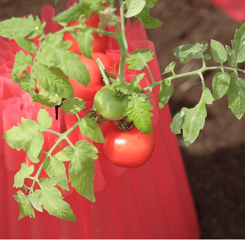 The Original Kozy-Coats Frost Protection Water Teepees (6 Pack)