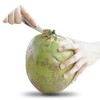 Tianbi Stainless Steel Coconut Opener Tool,Coconut Scraper for Fresh Green