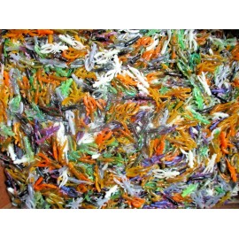 ALL AMERICAN Tournament Quality Soft Plastic Baits 50ct ASSORTED COLORS 1.5" Micro CRAWS Crappie Fishing Baits Panfish Lures Bream