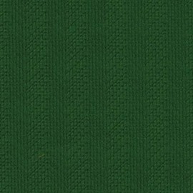 Do-it-yourself Carpet and Area Rug Binding (22 Colors Available) - Quantity 1 = 5 Foot Section, Cactus Green
