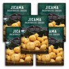 Jicama Seeds - Drought Resistant Mexican Turnip - Size: 5