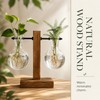 Desktop Hydroponic Plant Propagation Vase with Wooden Stand and 2