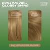 Clairol Natural Instincts Demi-Permanent Hair Dye, 8A Medium Cool Blonde