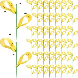 Qualirey 200 Pcs Sticky Houseplant Traps Fungus Gnat Fruit Fly Trap Sticky Houseplant Stakes Insect for Indoor Outdoor Garden Aphids, Whiteflies, Fruit Flies, Fungus Gnat, and Other Insect (Yellow)
